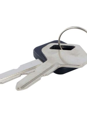 118210023-0 Murutraktori süütevõti | Stiga Tornado HPG Alpina