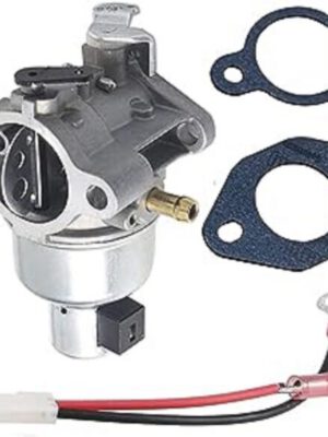 2085333-600x582 Karburaator | MTD (651-05149)