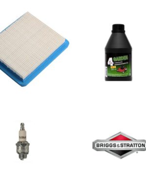 6761(7) Hoolduskomplekt muruniidukile | Briggs & Stratton QUANTUM 625 650 675