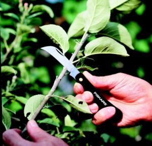 Ketipinguti hammasrataste kate | Echo CS-501SX