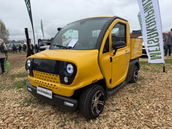 Elektriauto EV6000-Pickup Luqi Revolux 150