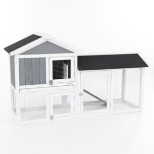 30714 Lemmikloomapuur / kanakuut PROMINENT MOLLY