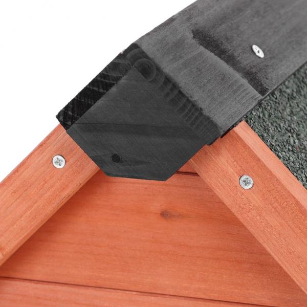 Koerakuut PROMINENT MIKE