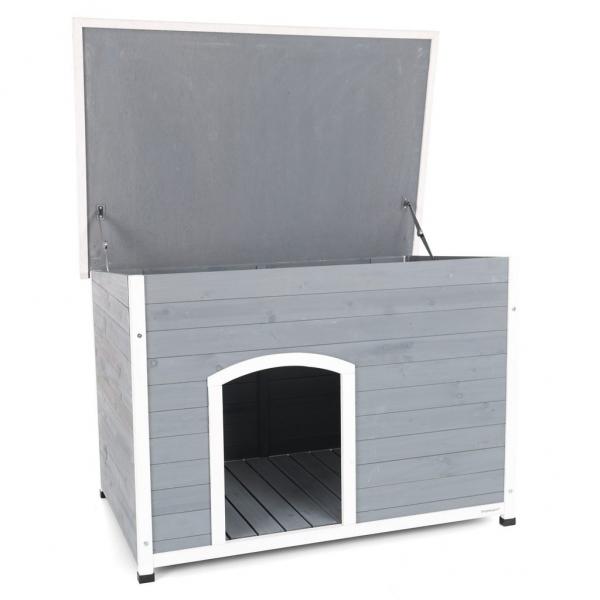 Koerakuut PROMINENT DINO