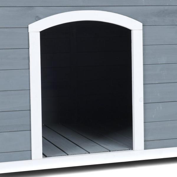 Koerakuut PROMINENT DINO